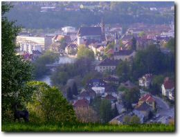 Reh am Kalvarienberg