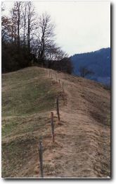 Kameradensteig auf der Wiese stlich vom Kalvarienberg